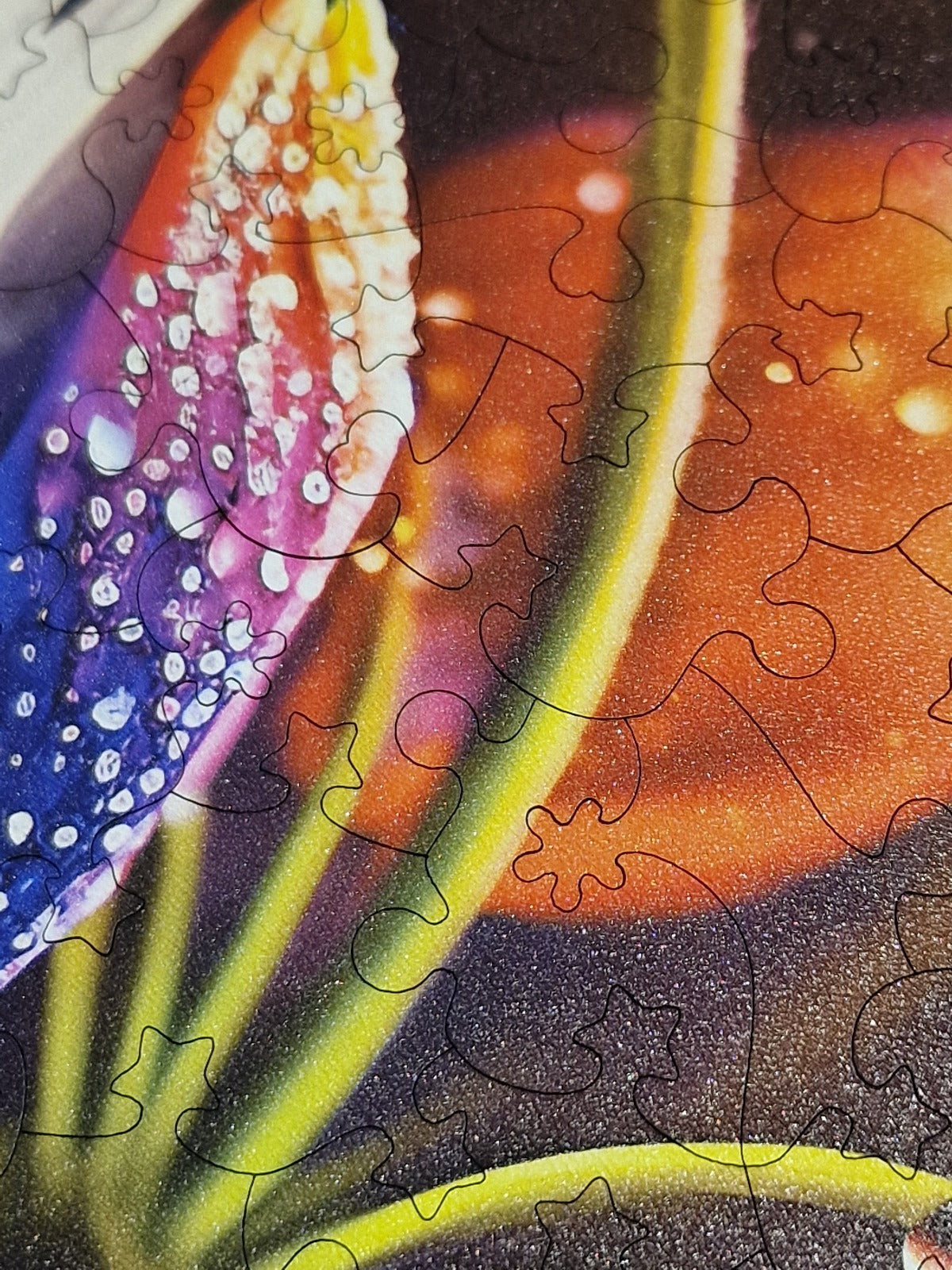 Puzzle cu Flori - Ghiocel