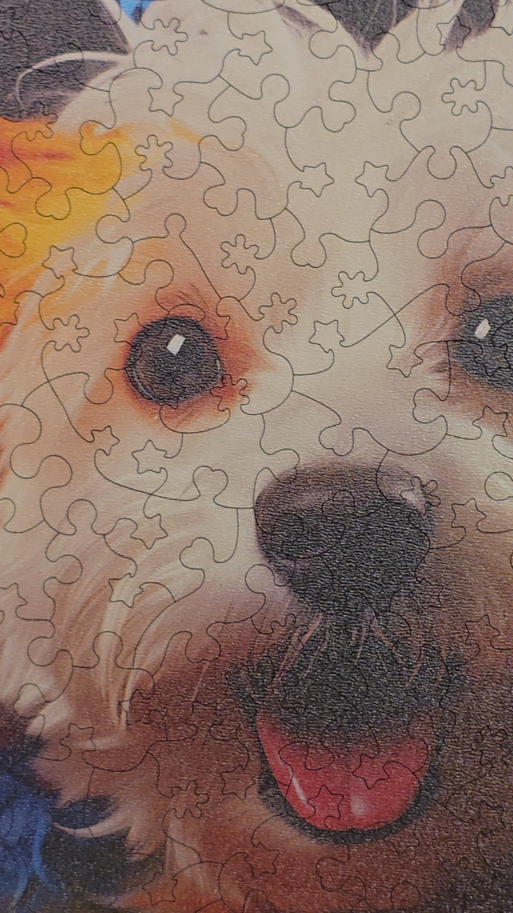 Puzzle cu Caini - Bichon Maltese 3 – WoodMix Puzzles